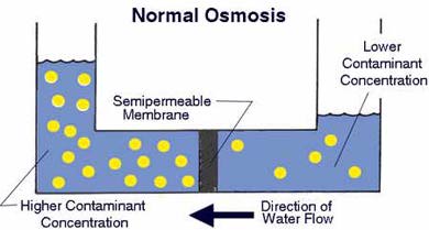 Reverse osmosis - Wikipedia